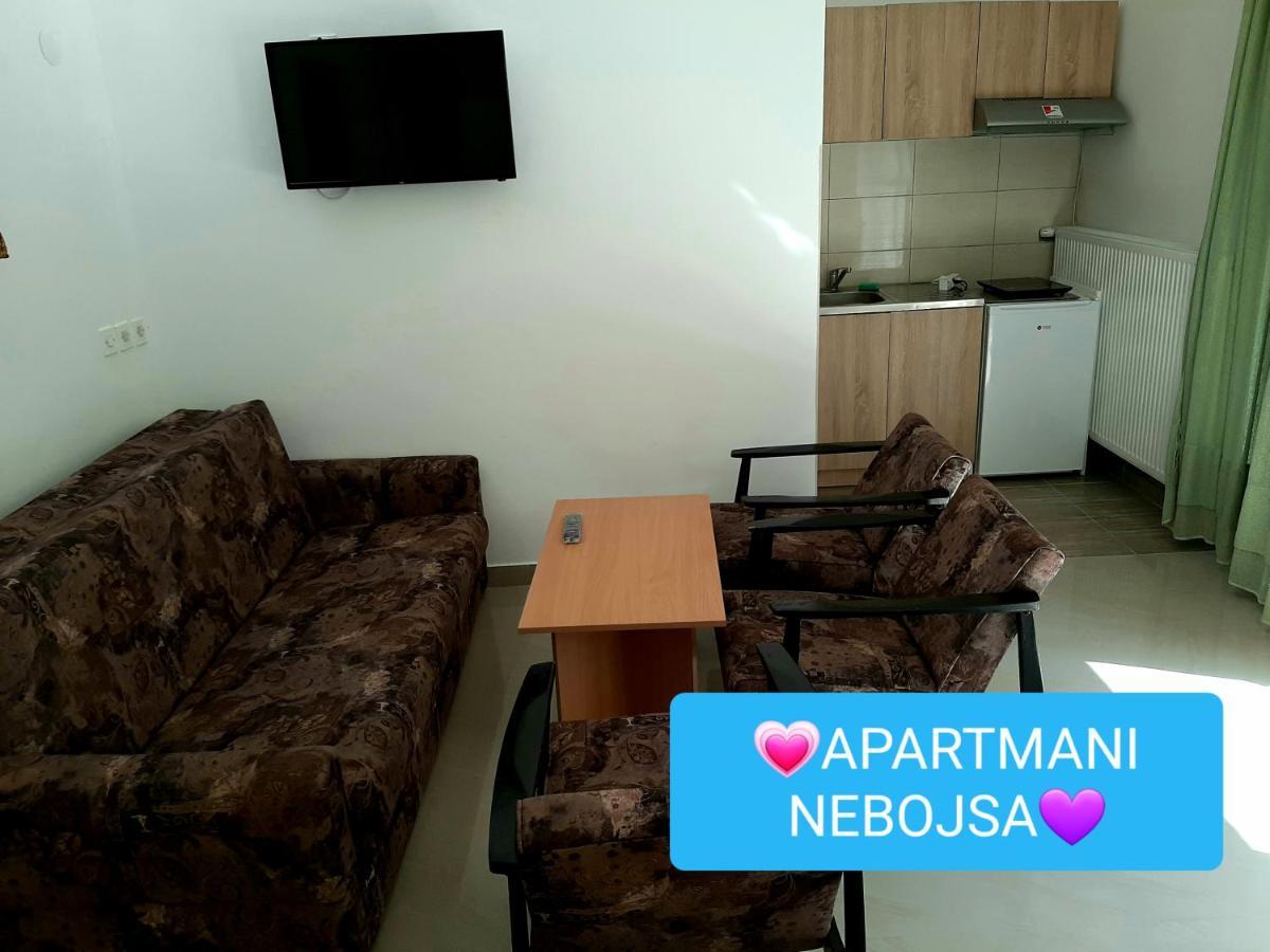 Apartments Nebojsa Soko Banja Luaran gambar